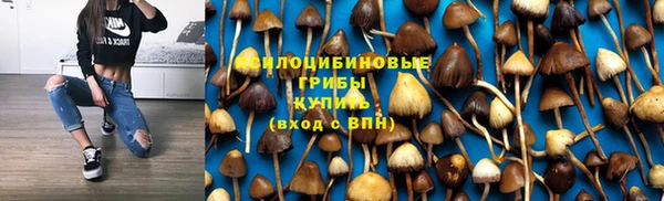 PSILOCYBIN Белоозёрский